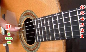 Cách học Guitar căn bản 1